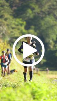 BIB:  <button type="button" onclick="openModal(26573137)" class="btn btn-primary btn-sm float-right" data-toggle="modal" data-target=".modal-high-quality">
                <i class="fa fa-download"></i> Download
                </button>